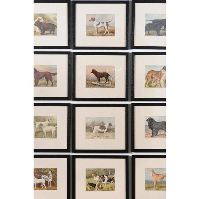 Single Print - Cassell, Petter, Galpin & Co Chromolithograph Dog Print in Black Frame For Sale In Atlanta - Image 6 of 12