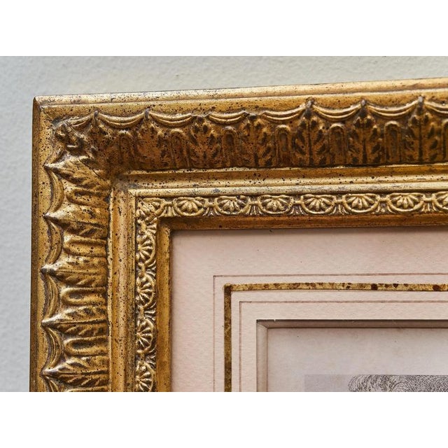 Unknown Artist, Middle Eastern Motifs, Engravings, Framed, Set of 3 For Sale - Image 6 of 10