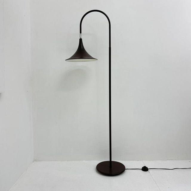 Minimalist Dutch Hala Zeist Trumpet Brown Floor Lamp, 1970s For Sale - Image 14 of 18