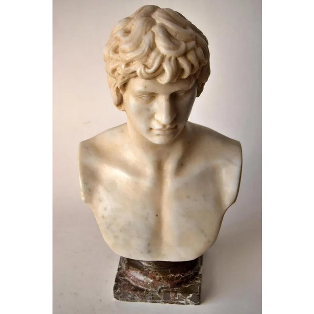 Bust of Antinous, White Carrara Marble, Early 20th Century For Sale - Image 3 of 11