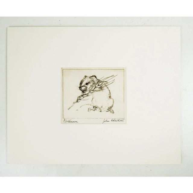 Rustic Mid 20th Century John Cederstrom Field Mouse Etching For Sale - Image 3 of 3