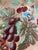6 1/2 Yards of Gorgeous Floral Fabric For Sale - Image 4 of 5