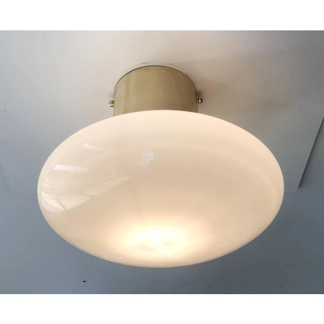 Fabio Ltd 21st Century Polished Brass and Glossy Gray Uno Flush Mount by Fabio Ltd For Sale - Image 4 of 7