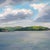 Presque Isle (Day 81) June 2, 2022 by Primary Hughes | Oil on masonite Landscape with clouds and water For Sale - Image 4 of 5