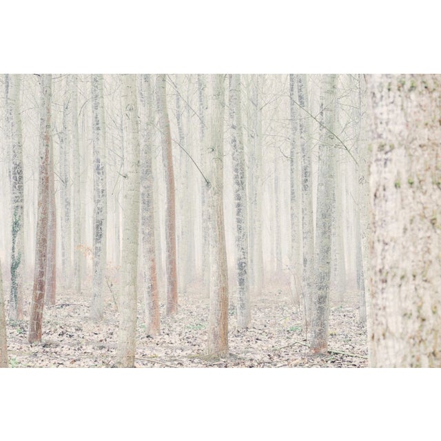 Born in Porqueres, a small village in Catalonia, Llorens has lived by the lake Banyoles his entire life. Inspired by this...