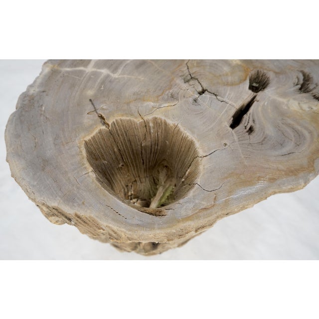 Large Beige Petrified Wood Organic Stomp Shape Stand End Side Table Pedestal