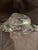 French Mid 20th Century Baccarat Crystal Horse Head Sculpture For Sale - Image 3 of 4