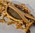 Antique Gilt Wood and Gesso Photo Frame Italian Circa 1900 For Sale In New York - Image 6 of 9