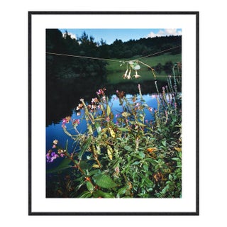 Arrangement #6, Collier Schorr For Sale