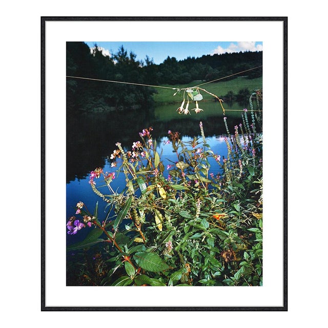 Arrangement #6, Collier Schorr For Sale