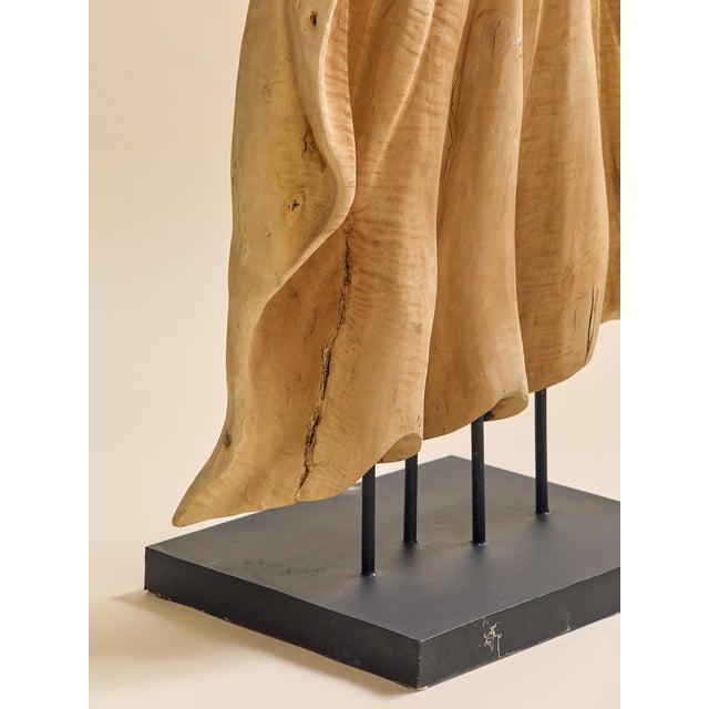 Wood The Vintage Monumental Carved Curly Maple Drapery Sculpture- Artist Uknown For Sale - Image 7 of 13