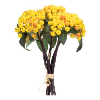 Yellow Berry Bundle (Set of 2) For Sale
