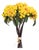 Yellow Berry Bundle (Set of 2) For Sale