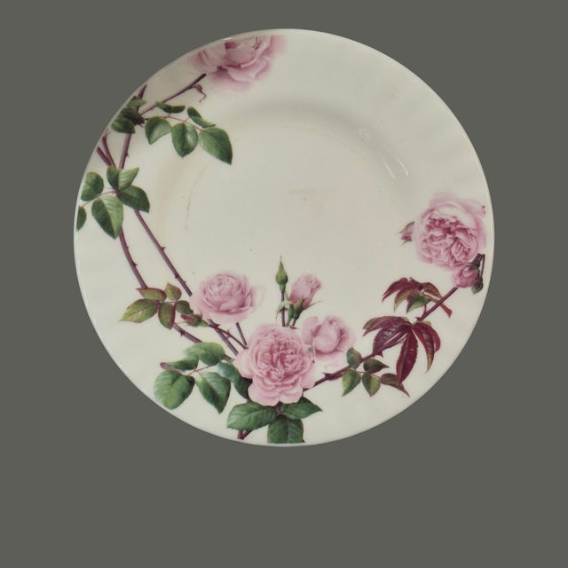 Vintage Pair Romantic Pink English Rose Bone China David Austin Dessert Dishes For Sale - Image 4 of 7