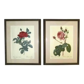 Pair of P. J. Redoute French Floral Botanical Framed Lithograph Prints Still Life Roses For Sale