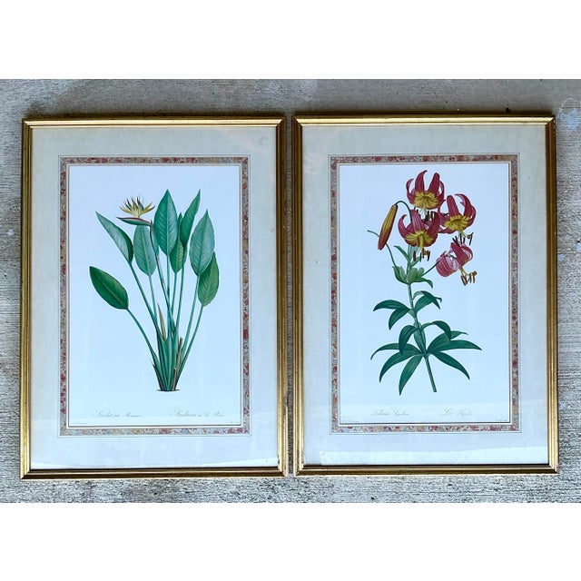 Late 20th Century Vintage Ehret Botanical Prints - Set of 2 For Sale - Image 5 of 12