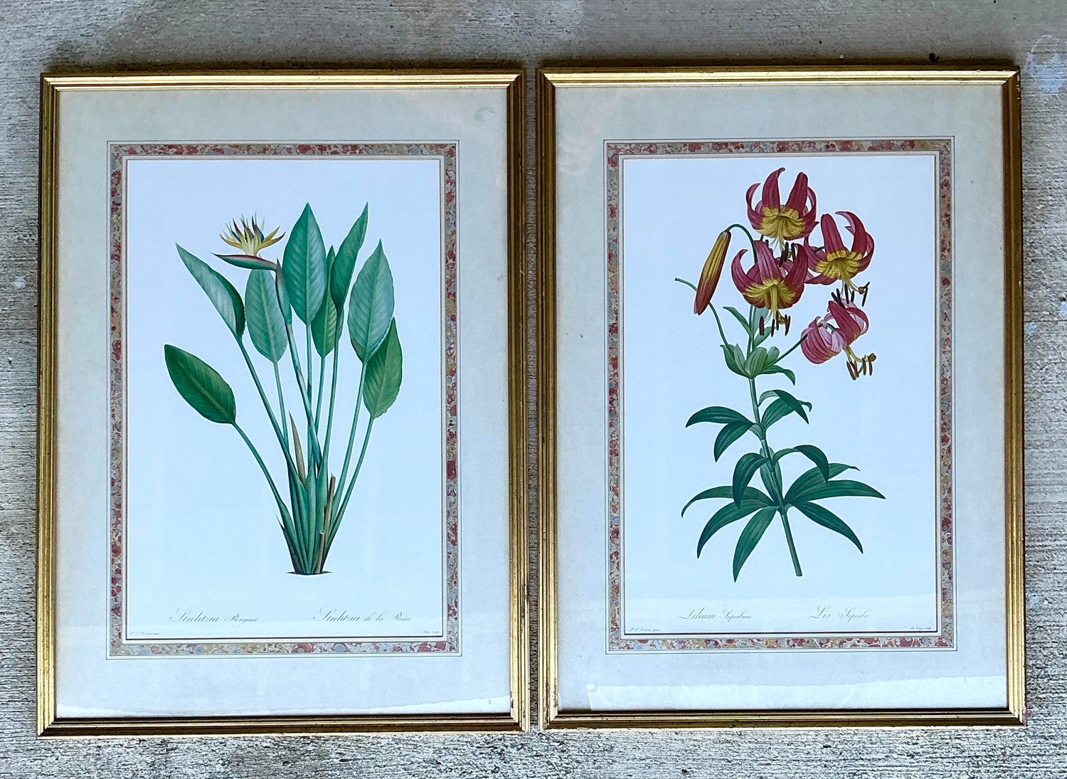 Vintage Ehret Botanical Prints - Set of 2 - Glass, 21W x 28.5H - Top view