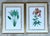Late 20th Century Vintage Ehret Botanical Prints - Set of 2 For Sale - Image 5 of 12