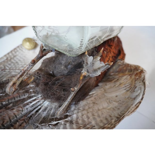 Glass Taxidermy Pheasant Drinking From Crown Royal Bottle For Sale - Image 7 of 9