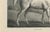 After Chalon, Mambrino Thoroughbred Horse Portrait, 1840, Lithograph For Sale - Image 6 of 9