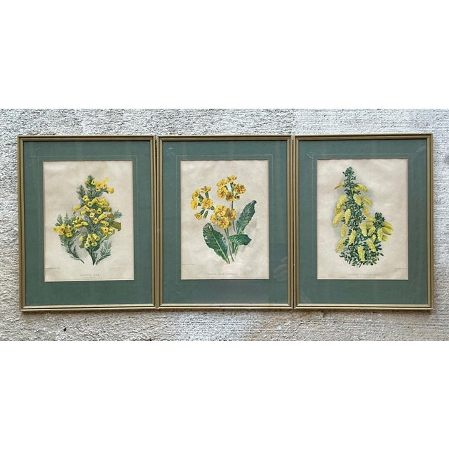 Vintage Framed Botanical Floral Illustrations - Set of 3 For Sale - Image 4 of 12