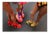 Fancy Footwear - Photograph by George Diebold - Plexiglas Laminated For Sale