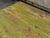Green Pine Trestle Base Farmhouse Table For Sale - Image 8 of 18