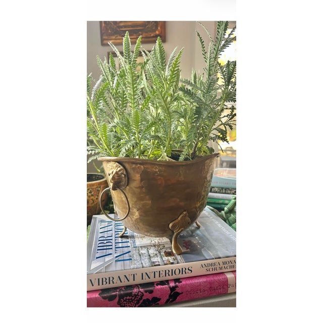 This hammered brass cache pot is a classic and has all of the features. The finish bears a soft patina which we have...
