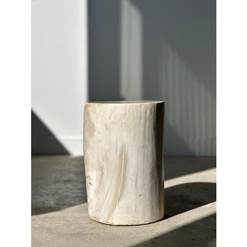 White Petrified Wood Side Table For Sale - Image 15 of 18