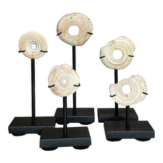 Antique Oceanic Mounted Shell Currency- a Set of 5 For Sale