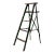 Vintage Green Painted Ladder For Sale