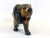 Vintage Wooden Carved Lion Figure, 1930s For Sale - Image 11 of 12