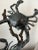 This beautiful undersea sculpture features two fighting crabs facing off on strands of kelp over a coral reef. The piece...