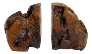 Vintage Burlwood Live Edge Bookends