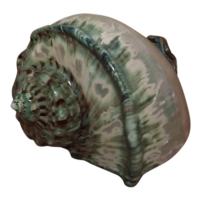 Large 7" Polished Green Turban Shell Marmoratus 4" Opening Pristine For Sale