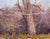 The Birdhouse by Harold Deist | Oil on Linen Panel Landscape with a tree and birdhouse. For Sale