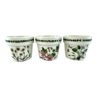 Vintage Portmeirion Botanic Garden Herb Pot Trio, Set of 3 For Sale