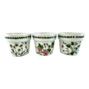 Vintage Portmeirion Botanic Garden Herb Pot Trio, Set of 3