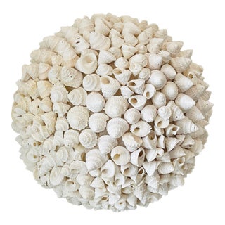 Spec Large 10” Sea Shell Globe Costal Decor For Sale