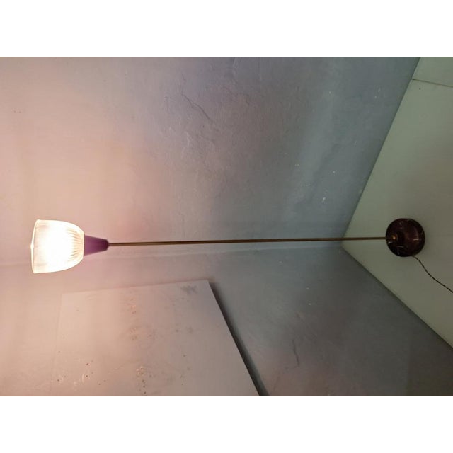 LTE6 Floor Lamp by Ignazio Gardella for Azucena, 1950s For Sale - Image 16 of 18