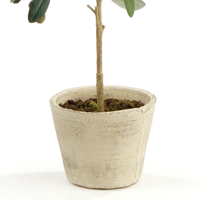 Realism Olive Tree With Fruit In Pot 19.5" For Sale - Image 3 of 4
