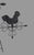 Mid 20th Century Primitive Country Folk Art Twisted Metal Directional Weathervane with Figural Chicken For Sale - Image 4 of 12