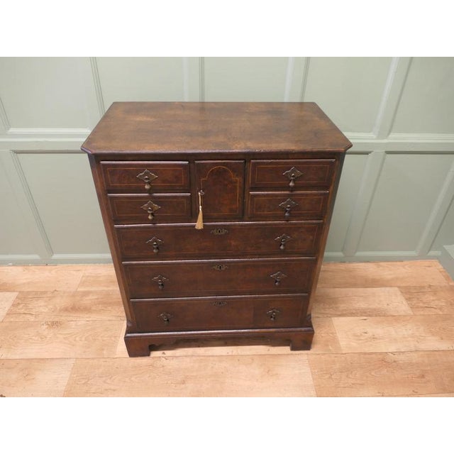 2000 - 2009 Georgian Norfolk Walnut and Oak Chest of Drawers For Sale - Image 5 of 9