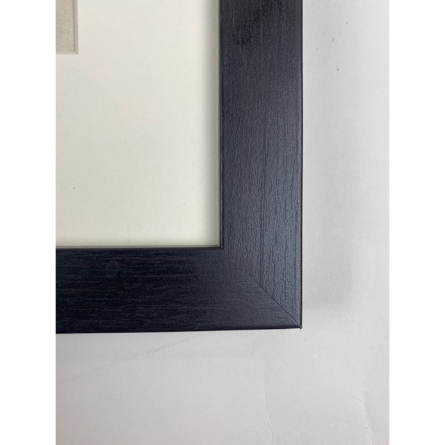 Exquisite Botanical photogravure from famed Urformen Der Kunst portfolio by Blossfeldt . Karl Blossfeldt (1865 - 1932) was...