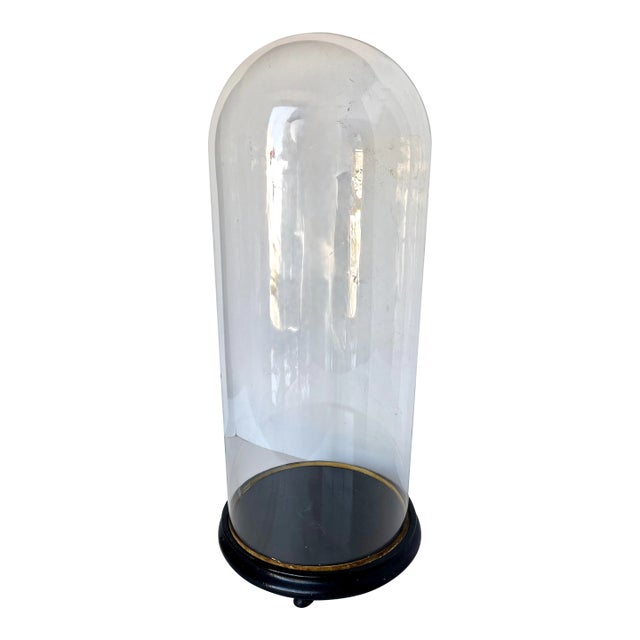 Early 1900s French Hand Blown Glass Cloche on Wood Footed Base For Sale