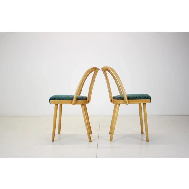 1960s Czechoslovakian Dining Chairs by Antonin Suman, 1960s, Set of 4 For Sale - Image 5 of 13
