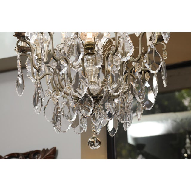 Exceptional Early 20th C. Louis XV Silvered Bronze & Crystal Chandelier For Sale - Image 9 of 9