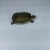 Small Brass Turtle Catchall With Hinged Lid For Sale In Columbia, SC - Image 6 of 8