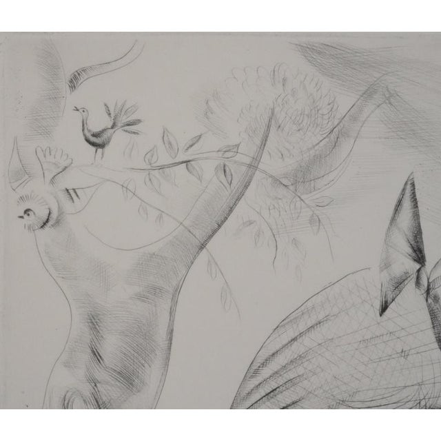 Mily Possoz, Young Women with a Parakeet, Original Signed Engraving For Sale - Image 7 of 11