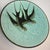 Ceramic Set of 4 Antique Majolica Swallow Plates For Sale - Image 7 of 10